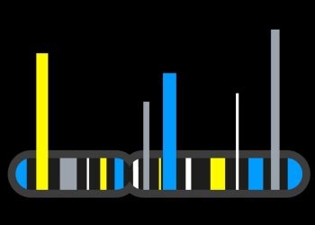 The most popular genes in the human genome