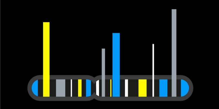 The most popular genes in the human genome