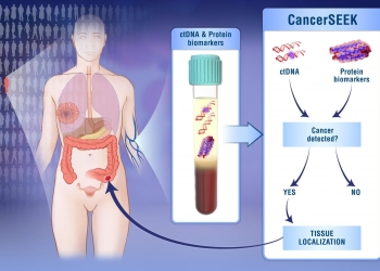 News Summary: CancerSEEK blood test, immune system vs. CRISPR
