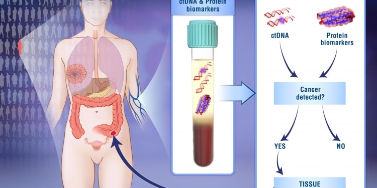 News Summary: CancerSEEK blood test, immune system vs. CRISPR
