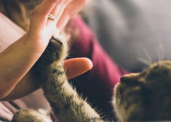 Is there a place for ‘Kindness in Science’?