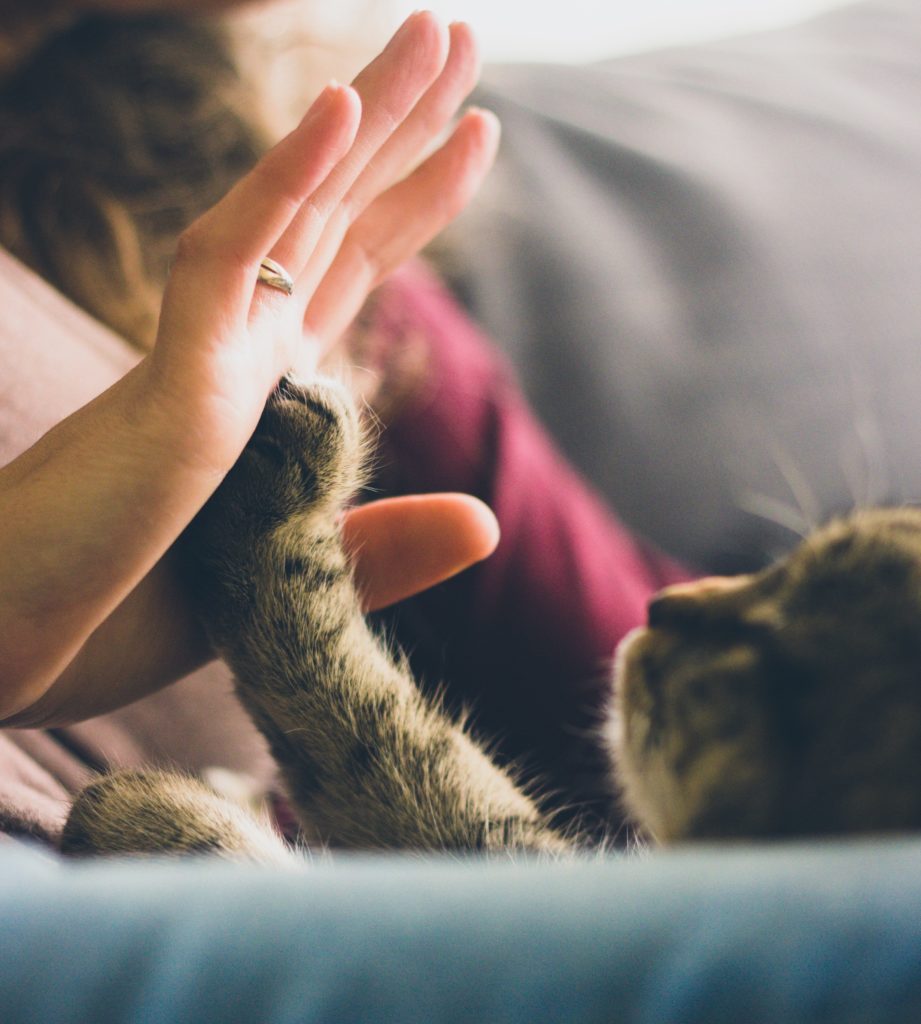 Is there a place for ‘Kindness in Science’?