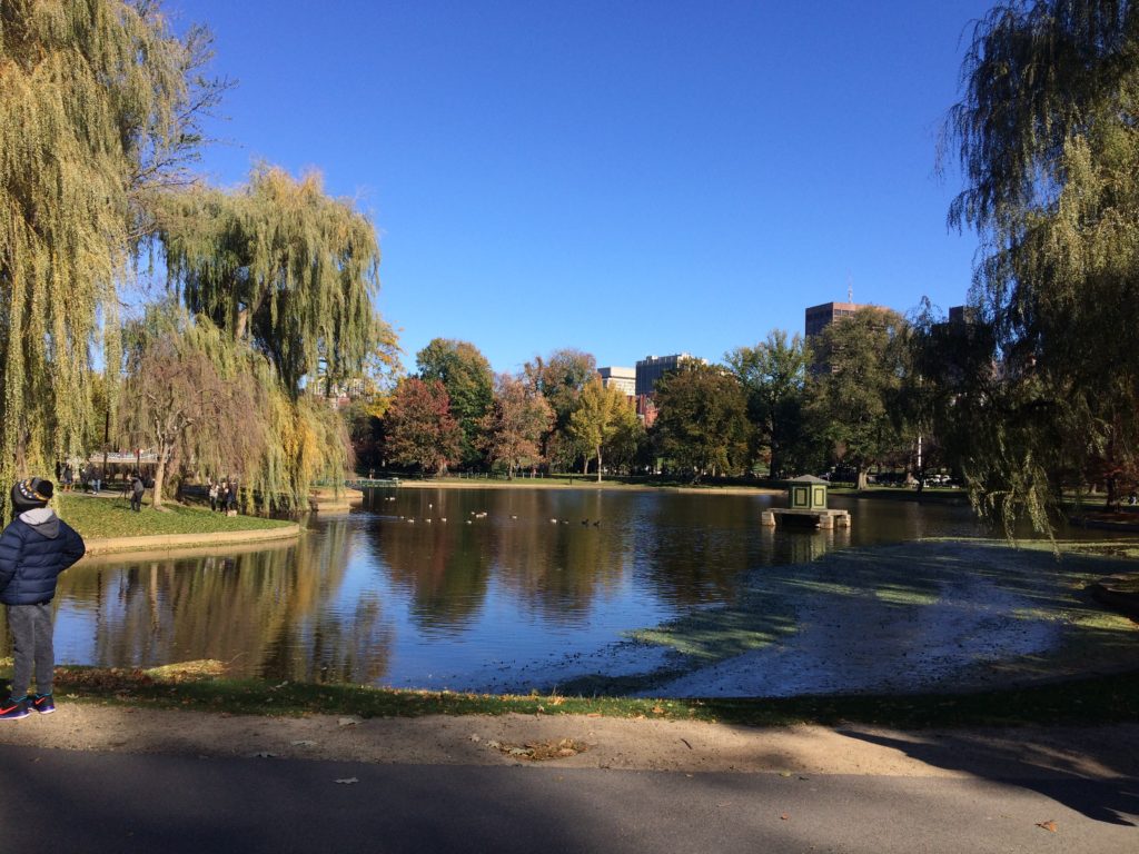 PhD Student Amy McCarthy answered our questions about her recent Travel Fellowship