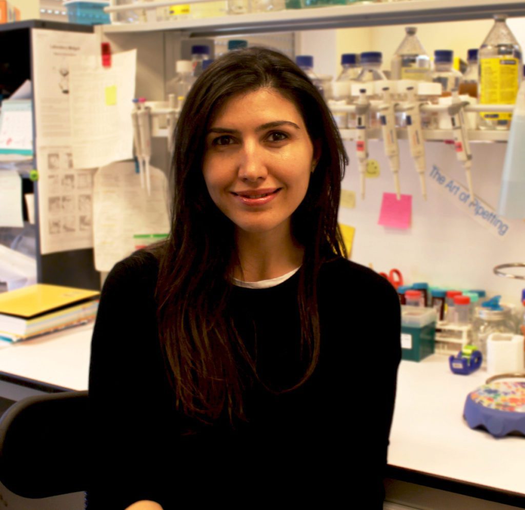 Yeliz Yılmaz reports back on her Travel Fellowship to Oxford
