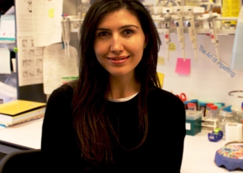 Yeliz Yılmaz reports back on her Travel Fellowship to Oxford