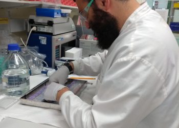 “One of the career steps for a predoctoral student should be to have a scientific exchange abroad”, PhD Student Giovanni Di Pinto