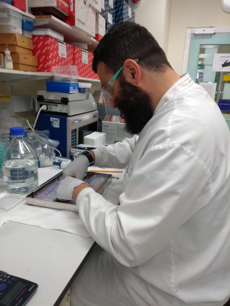 “One of the career steps for a predoctoral student should be to have a scientific exchange abroad”, PhD Student Giovanni Di Pinto