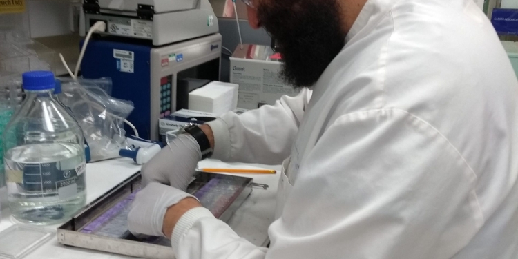 “One of the career steps for a predoctoral student should be to have a scientific exchange abroad”, PhD Student Giovanni Di Pinto