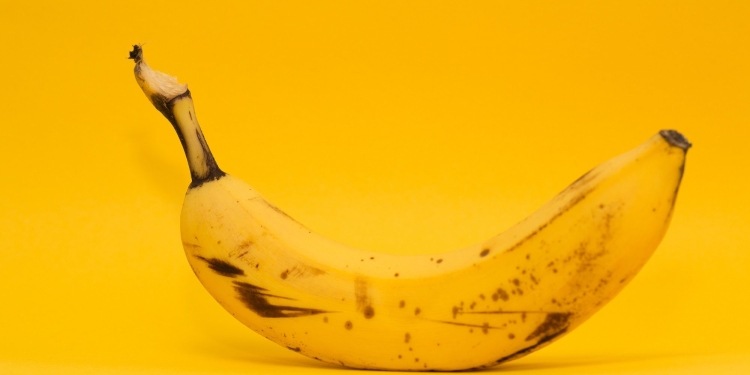 ‘Hot Stuff’: public engagement and radioactive bananas