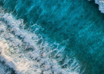 Life or Sci Bethan Rogoyski