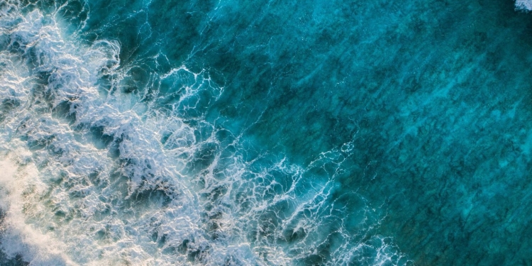 Life or Sci Bethan Rogoyski