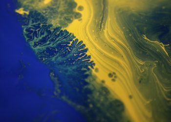 Cell culture contamination: a mystery solved