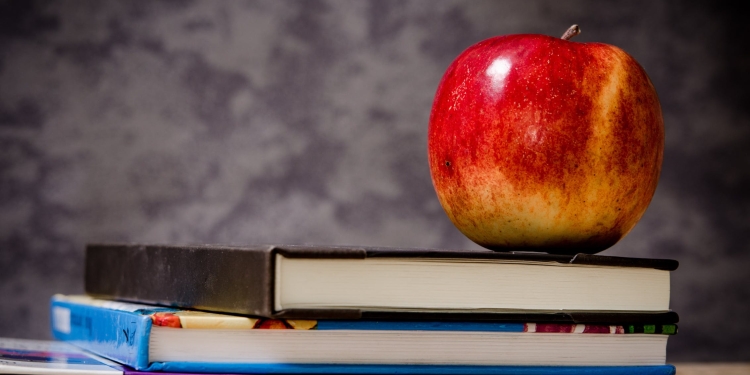 PhD Life: The Triad for Success