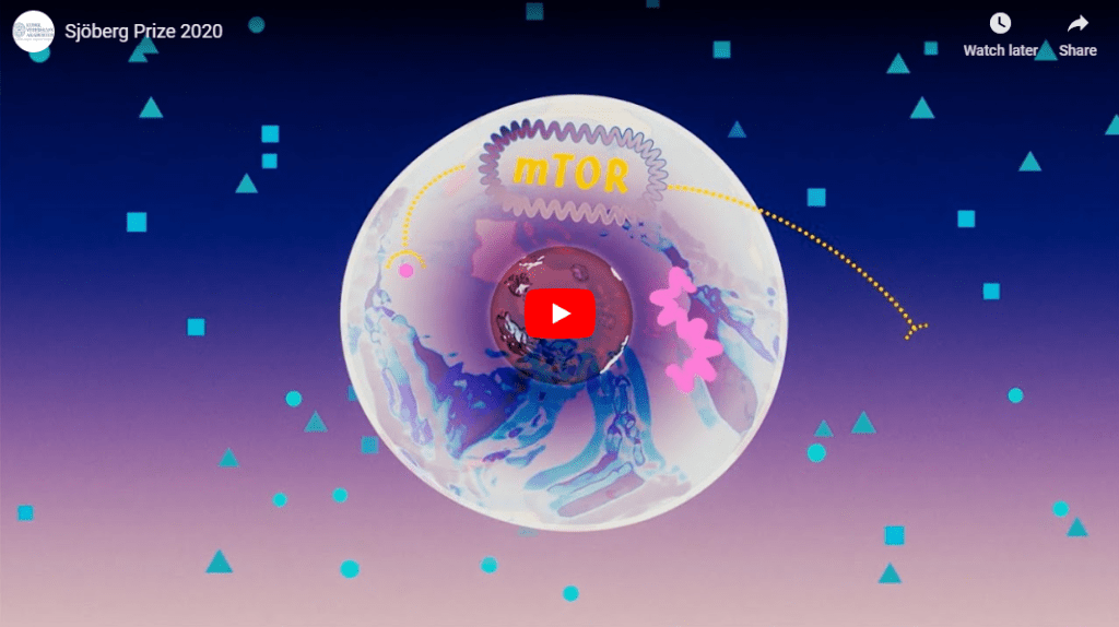 EACR member awarded Sjöberg Prize for decisive discoveries about cell growth