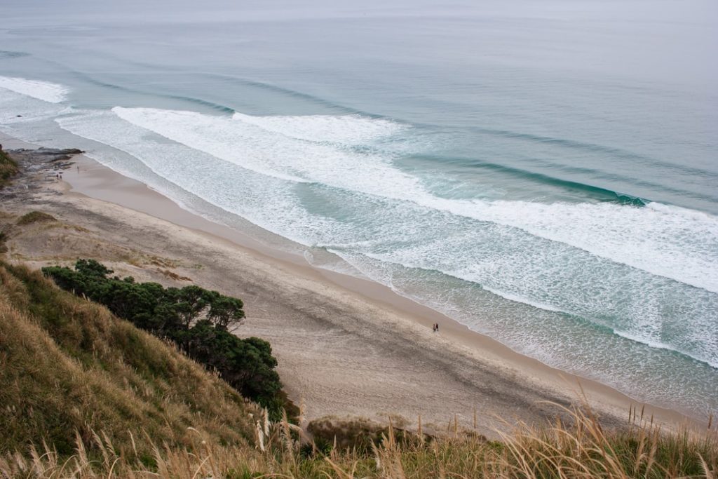 Research on hold? Seek new shores and revisit old ones