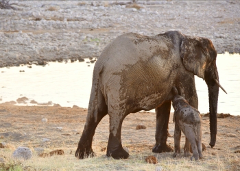 An interview with a computational engineer during the lockdown in Barcelona