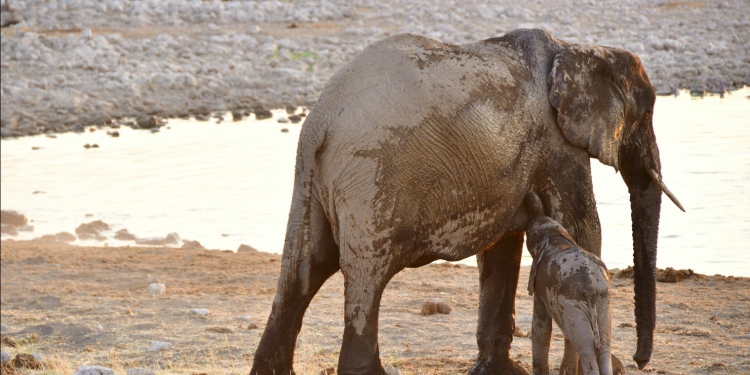 An interview with a computational engineer during the lockdown in Barcelona