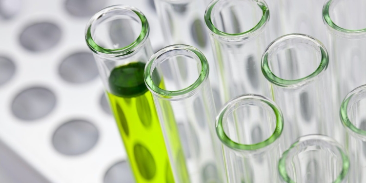 Interview with EACR Emeritus member Professor Ulrich Schneeweiss