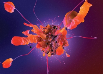 The Invisible Phase of Metastasis Virtual Conference: Our Bursary Winners’ Experience