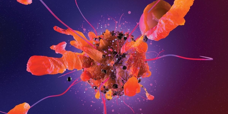 The Invisible Phase of Metastasis Virtual Conference: Our Bursary Winners’ Experience