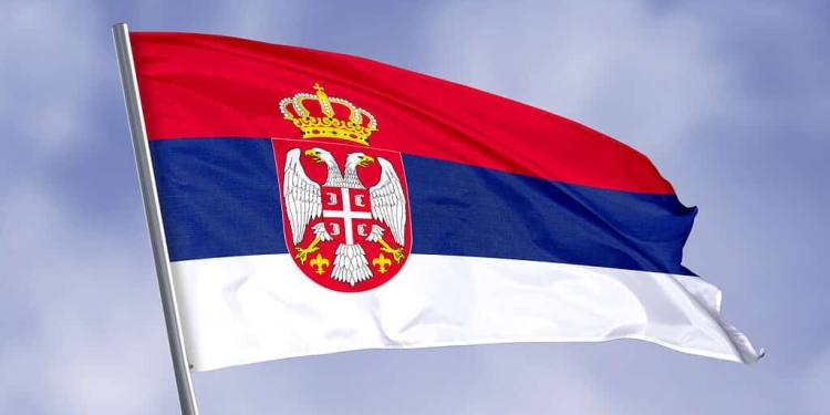 Spotlight on the Serbian Association for Cancer Research (SDIR)