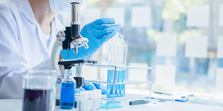 Metastable states matter: Studying epithelial-to-mesenchymal transition while clinician-to-researcher transition