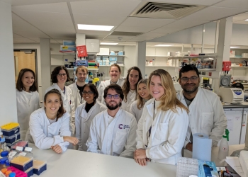 “This research placement has been a transformative experience”: David Gómez Peregrina’s EACR Travel Fellowship