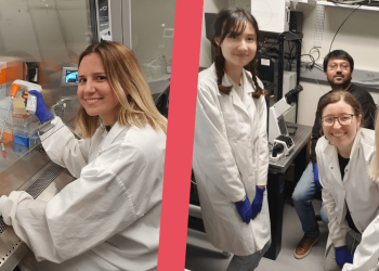 “This helped me to know myself better and understand what I am capable of” – Iva Šantek’s EACR Travel Fellowship