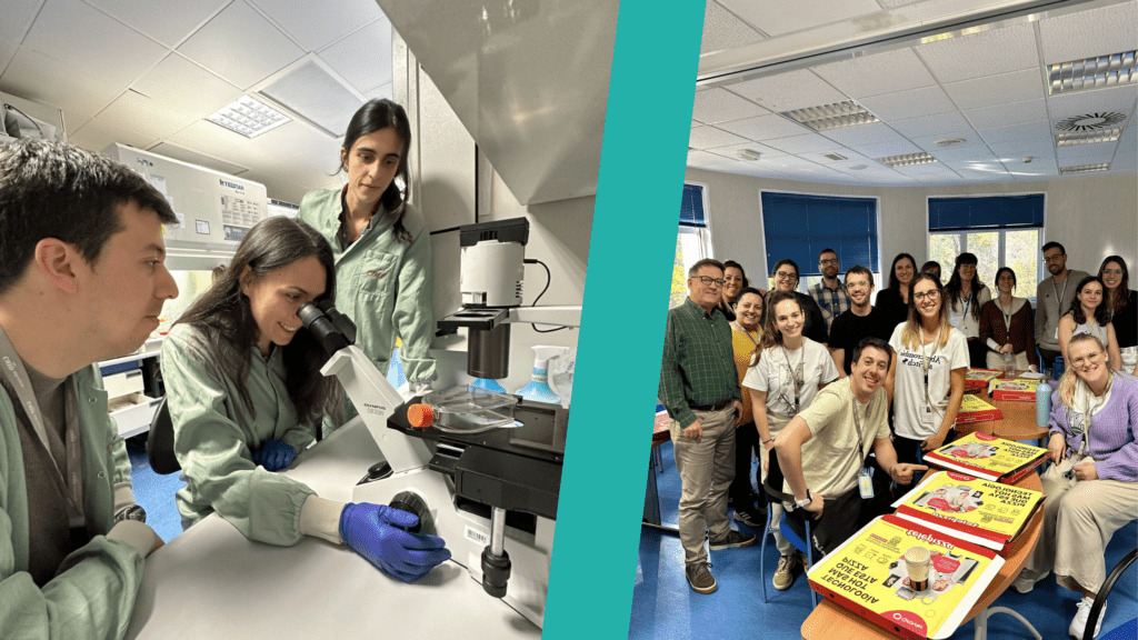 “New collaborations, new skills, and cutting-edge research”: Petra Jagušt’s EACR Travel Fellowship