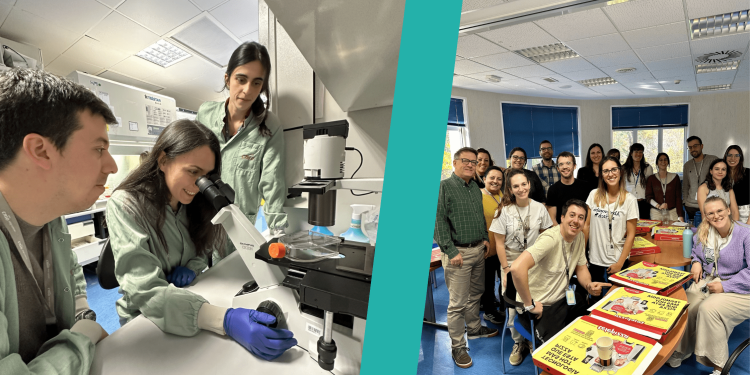 “New collaborations, new skills, and cutting-edge research”: Petra Jagušt’s EACR Travel Fellowship