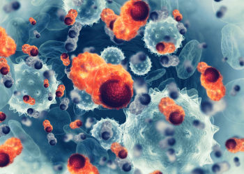 Scientific Highlights from Signaling Circuits in Cancer