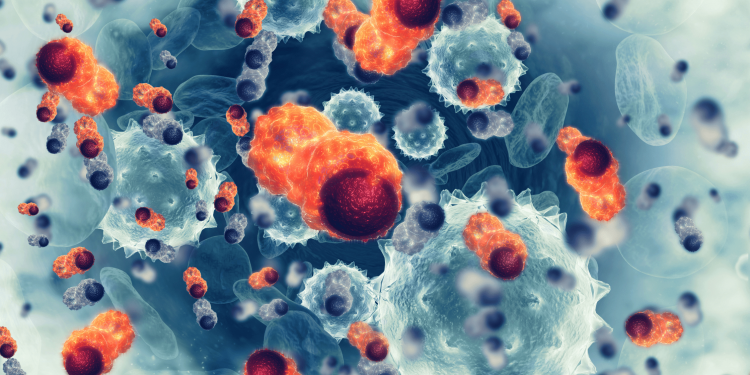 Scientific Highlights from Signaling Circuits in Cancer