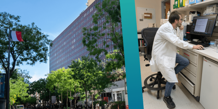 Nicolas Merle’s EACR Travel Fellowship