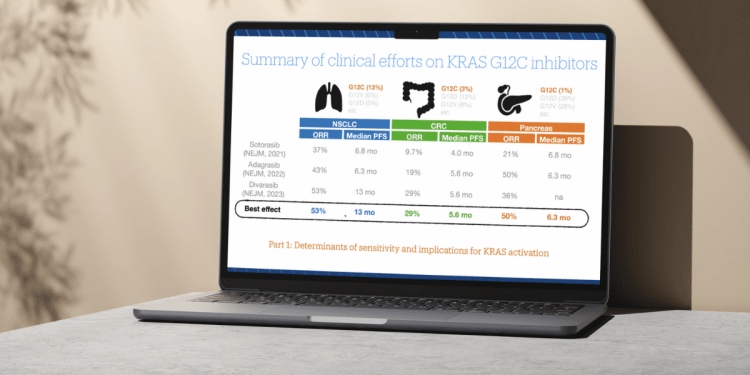 Highlights from the EACR-Boehringer Ingelheim 2025 Conference: Drugging and Regulating the MAP Kinase Pathway
