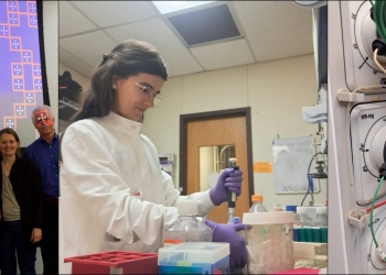 How Following My Curiosity Changed My Research Journey