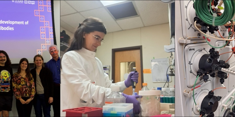 How Following My Curiosity Changed My Research Journey