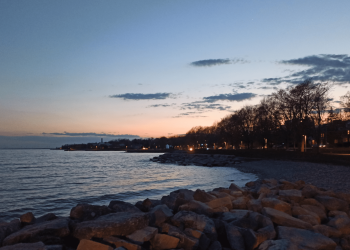 Ada Nowosad’s EACR Travel Fellowship experience