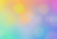 Career-Building Highlights from the 2025 Early Career Researchers’ Conference