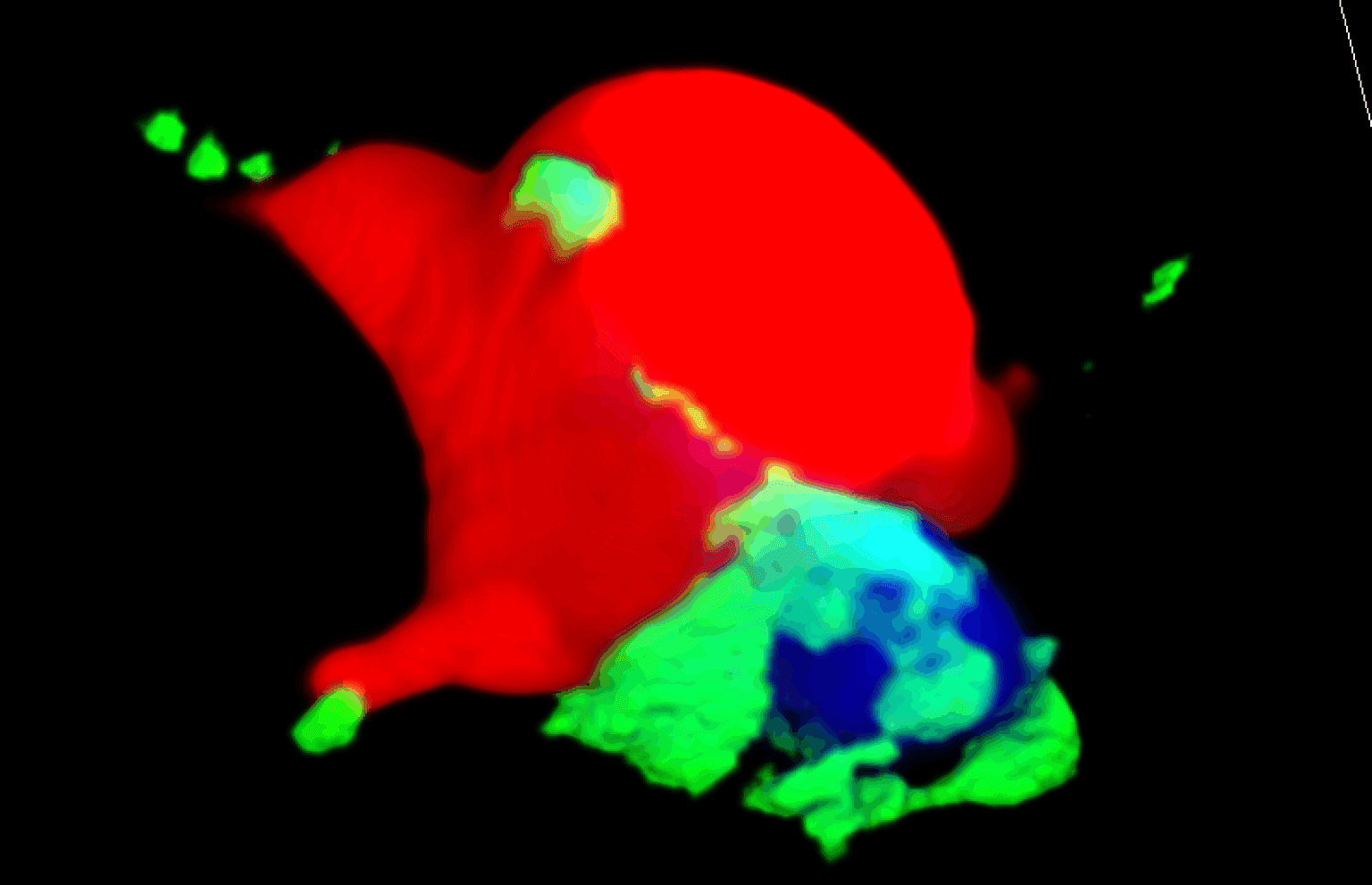Highlights in Cancer Research: December 2025 - The Cancer Researcher