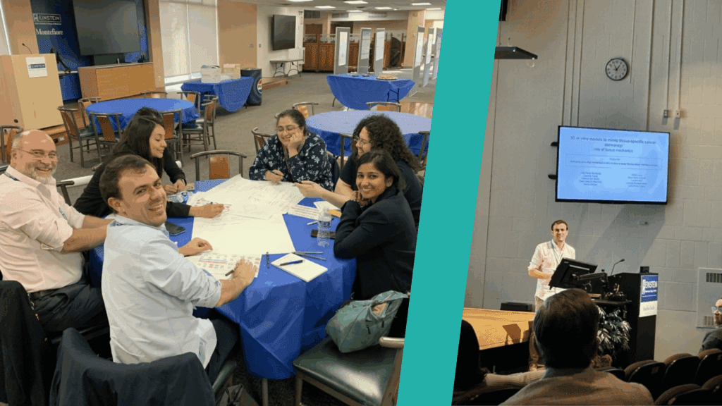 “The ideal choice to advance my research”: Unai Heras Manterola’s EACR Travel Fellowship