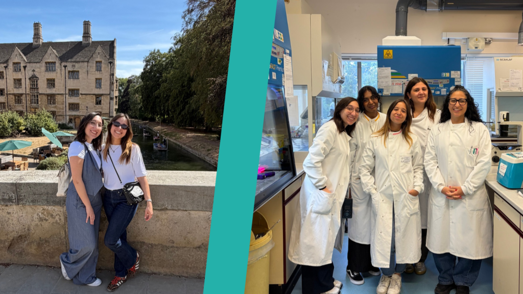 “Being in a new lab environment allowed me to broaden my research expertise”: Virginia Maini’s Travel Fellowship