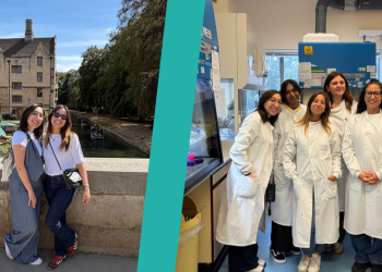 “Being in a new lab environment allowed me to broaden my research expertise”: Virginia Maini’s Travel Fellowship