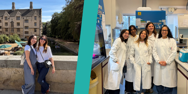 “Being in a new lab environment allowed me to broaden my research expertise”: Virginia Maini’s Travel Fellowship